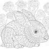 Stylized Baby Rabbit And Cornflowers. Freehand Sketch For innen Kaninchen Zum Ausmalen