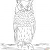Sumptuous Design Inspiration Free Owl Coloring Pages Owls bestimmt für Ausmalbild Uhu