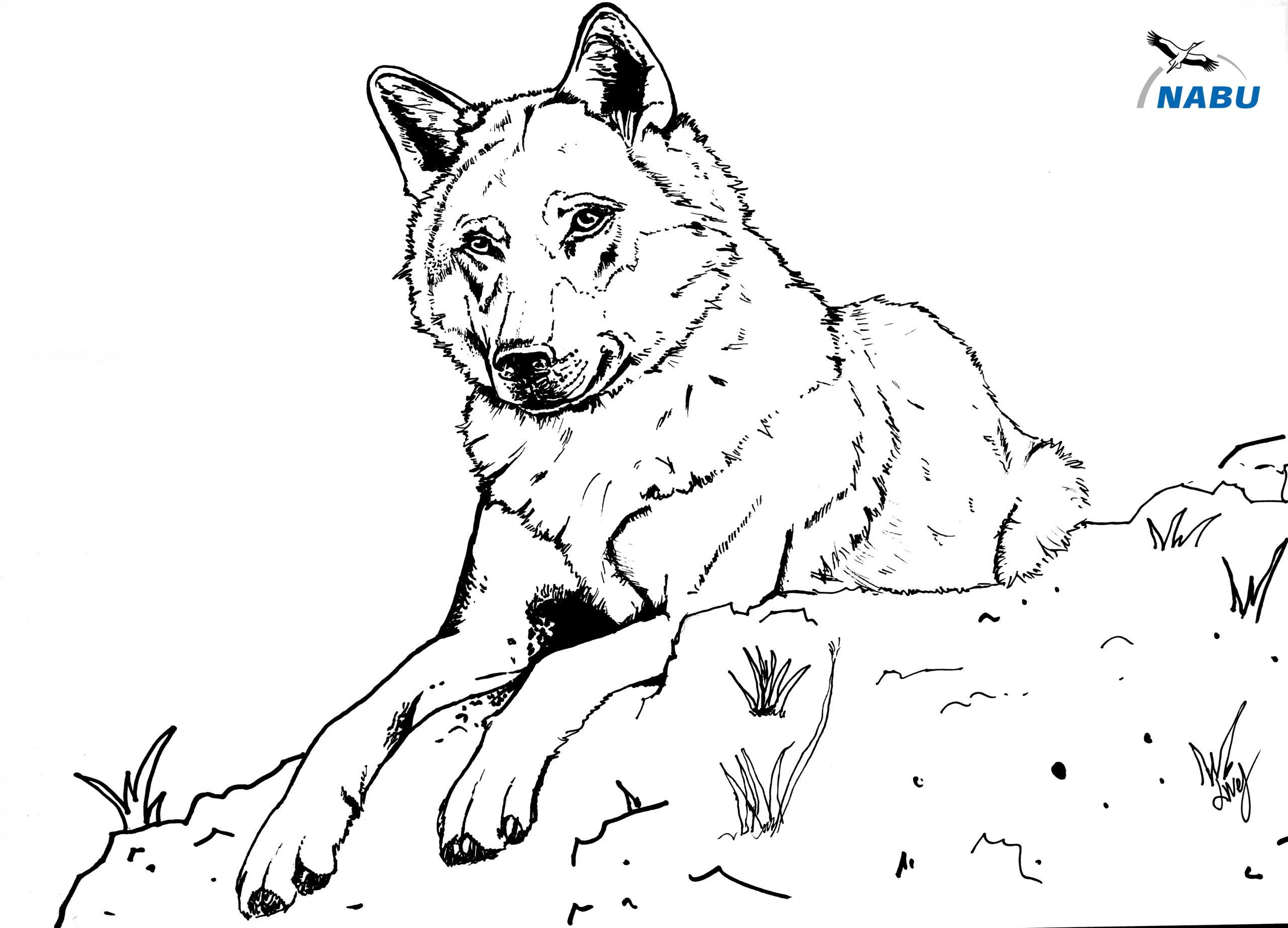 Tag Des Wolfes - Nabu über Wolf Malvorlage