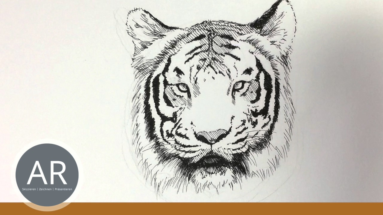 Tier-Illustrationen. Tiere Zeichnen Lernen. Tiger Zeichnen. Mappenkurs  Kunst. mit Tiergesichter Malen