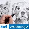 Tiere Zeichnen | Ganz Einfach Zeichnen Lernen 18 innen Tiergesichter Malen