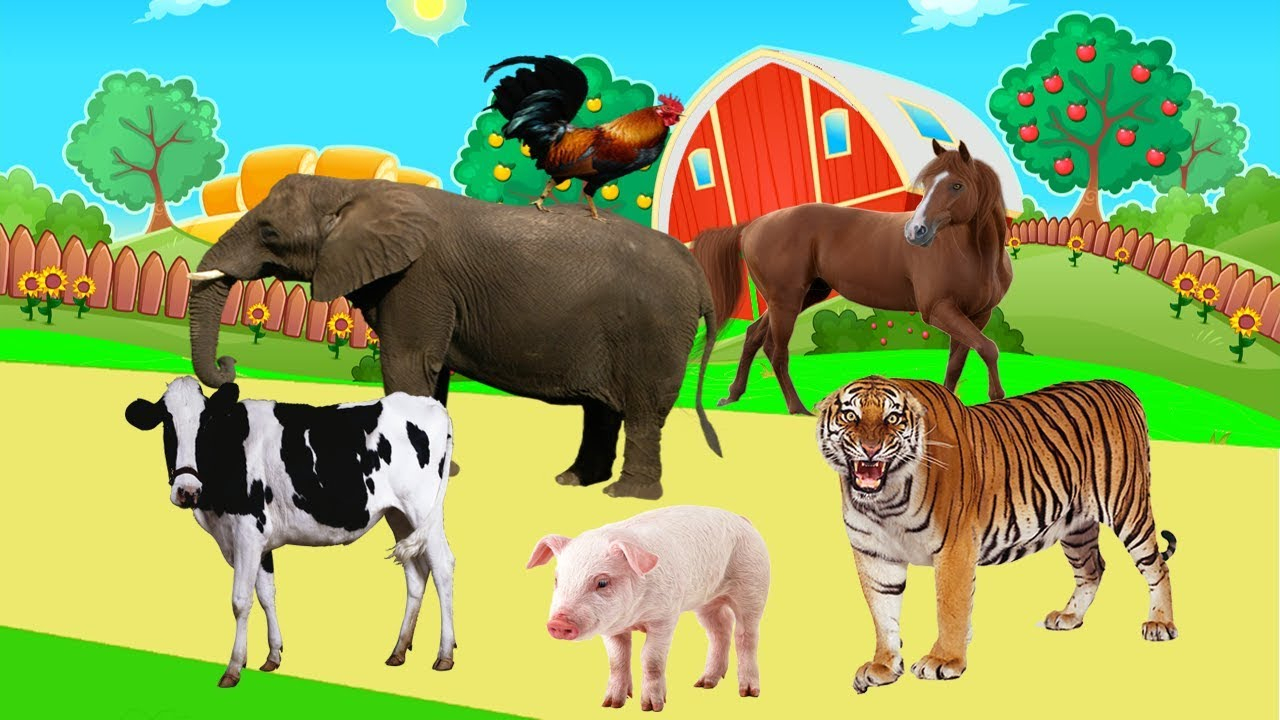 Tiergeräusche Für Kinder | Video 3D 40 Tiere Lernen Im Dschungel , Bauernhof in Tiere Für Kleinkinder