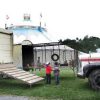 Tierschützer Verklagen Circus Royal | Tages-Anzeiger verwandt mit Schweizer Zirkus Kreuzworträtsel