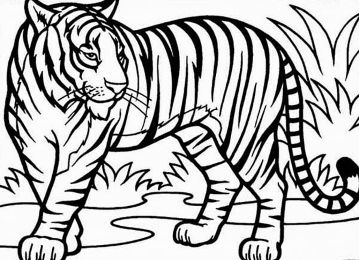 Tiger Ausmalbilder | Löwen Malvorlagen, Tiger Zeichnung innen Ausmalbilder Tiger