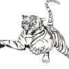 Tiger Ausmalbilder (Mit Bildern) | Malvorlagen Tiere bestimmt für Ausmalbilder Tiger