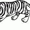 Tiger Ausmalbilder (Mit Bildern) | Malvorlagen Tiere, Tiger bestimmt für Tiger Malvorlage