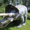 Triceratops: Dino Auf Britischer Straße Amüsiert Das bestimmt für Dreihorn Dinosaurier