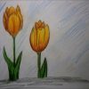 Tulpe Zeichnen Lernen ganzes Tulpe Zeichnen