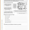 Unfallbericht Schreiben 4 | Einen Unfallbericht Schreiben in Bericht Schreiben Grundschule 4 Klasse Übungen