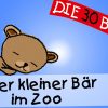 Unser Kleiner Bär Im Zoo Erklärung - Anleitung Zum Bewegen || Kinderlieder ganzes Unser Kleiner Bär Im Zoo Noten