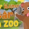 Unser Kleiner Bär Im Zoo - Kinderliedergarten.de mit Unser Kleiner Bär Im Zoo Noten