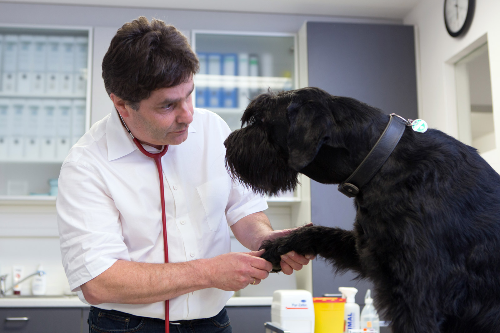 Vergiftungen Beim Hund - Tierarztpraxis Dr. Konrad ganzes Was Passiert Wenn Hunde Alkohol Trinken
