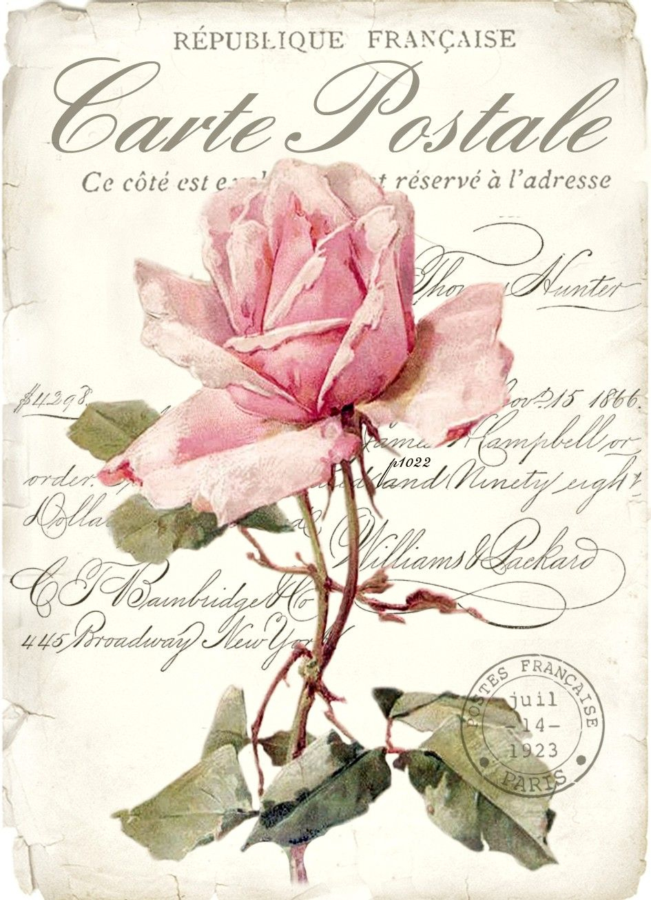 Vintage Rose Background Digital Collage P1022 Free | Vintage innen Rosenmotive Zum Ausdrucken