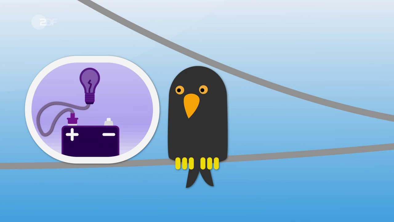 Vögel Auf Stromleitungen - Logo! Erklärt - Zdftivi mit Warum Können Vögel Auf Stromleitungen Sitzen