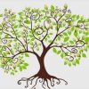 Vorlage Für Einen Stammbaum 19 Wunderbar Praktisch Diese in Malvorlage Stammbaum