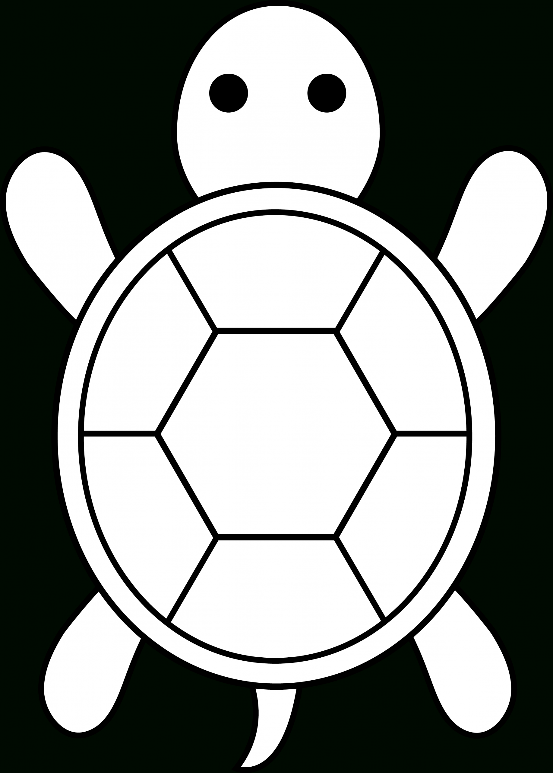 Vorlage Schildkröte | Schildkröte Quilt, Schildkröte Basteln verwandt mit Bastelvorlage Schildkröte