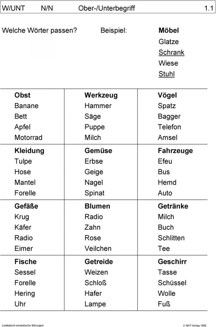 W/unt N/n Ober-/unterbegriff 1.1. Welche Wörter Passen in Wörter Mit N