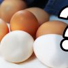 Warum Gibt Es Braune Und Weiße Eier? | Kurzwissen bestimmt für Warum Gibt Es Weiße Und Braune Eier