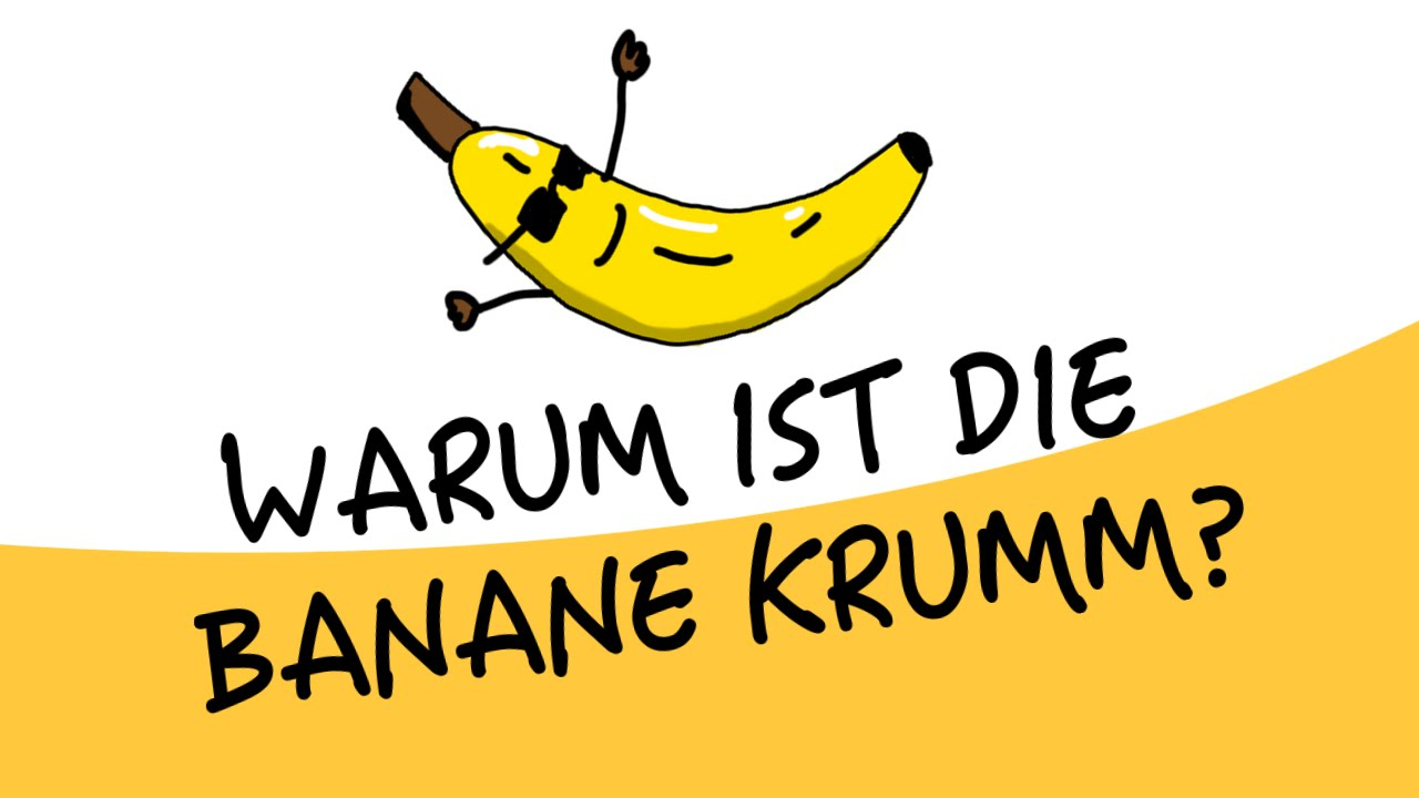 Warum Ist Die Banane Krumm? (Papawarum) mit Warum Warum Ist Die Banane Krumm