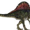 Was Du Über Dinosaurier Wissen Musst | Duda.news in Dinosaurier Namen Und Bilder