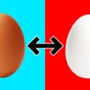 Was Ist Der Unterschied Zwischen Braunen Und Weißen Eiern? bei Warum Gibt Es Weiße Und Braune Eier