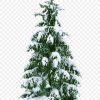 Weihnachtsbaum Tannenbaum - Weihnachtsbaum Png Herunterladen innen Tannenbaum Fotos Kostenlos