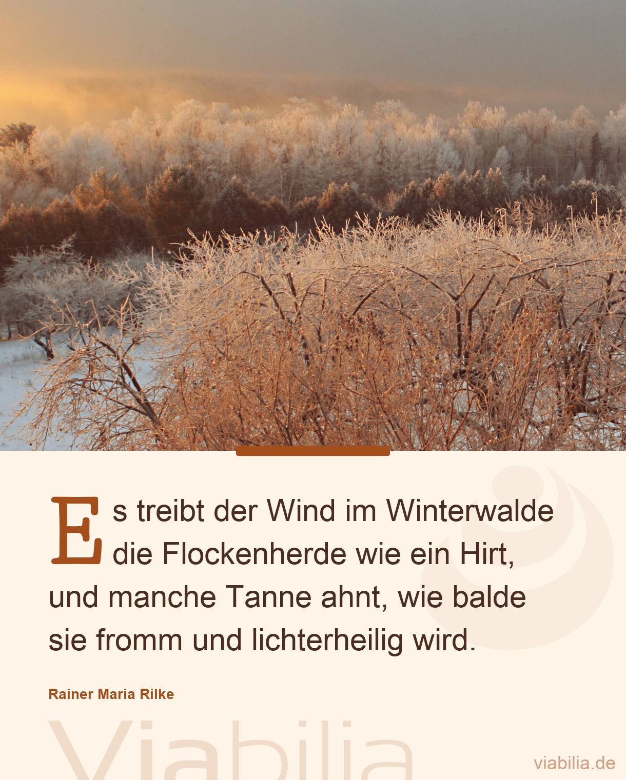 Weihnachtsgedicht: Es Treibt Der Wind Im Winterwalde ganzes Rainer Maria Rilke Weihnachtsgedichte