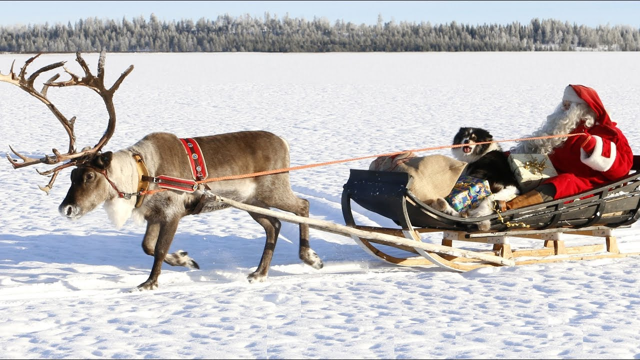 Weihnachtsmann &amp; Rentieren: Beste Rentierschlittenfahrten Des  Weihnachtsmannes Für Kinder Lappland bei Bilder Weihnachtsmann Mit Rentieren