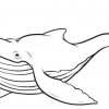 Whale Outline. Black White Lines | Malvorlagen Tiere innen Wal Zum Ausmalen