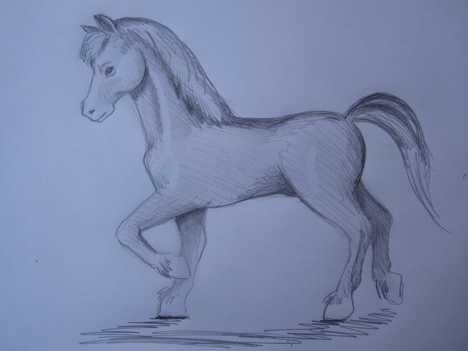 Wie Malt Man Ein Pferd (Mit Bildern) | Pferde Zeichnen bei Wie Malt Man Ein Pferd