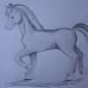 Wie Malt Man Ein Pferd (Mit Bildern) | Pferde Zeichnen ganzes Pferd Malen Anleitung