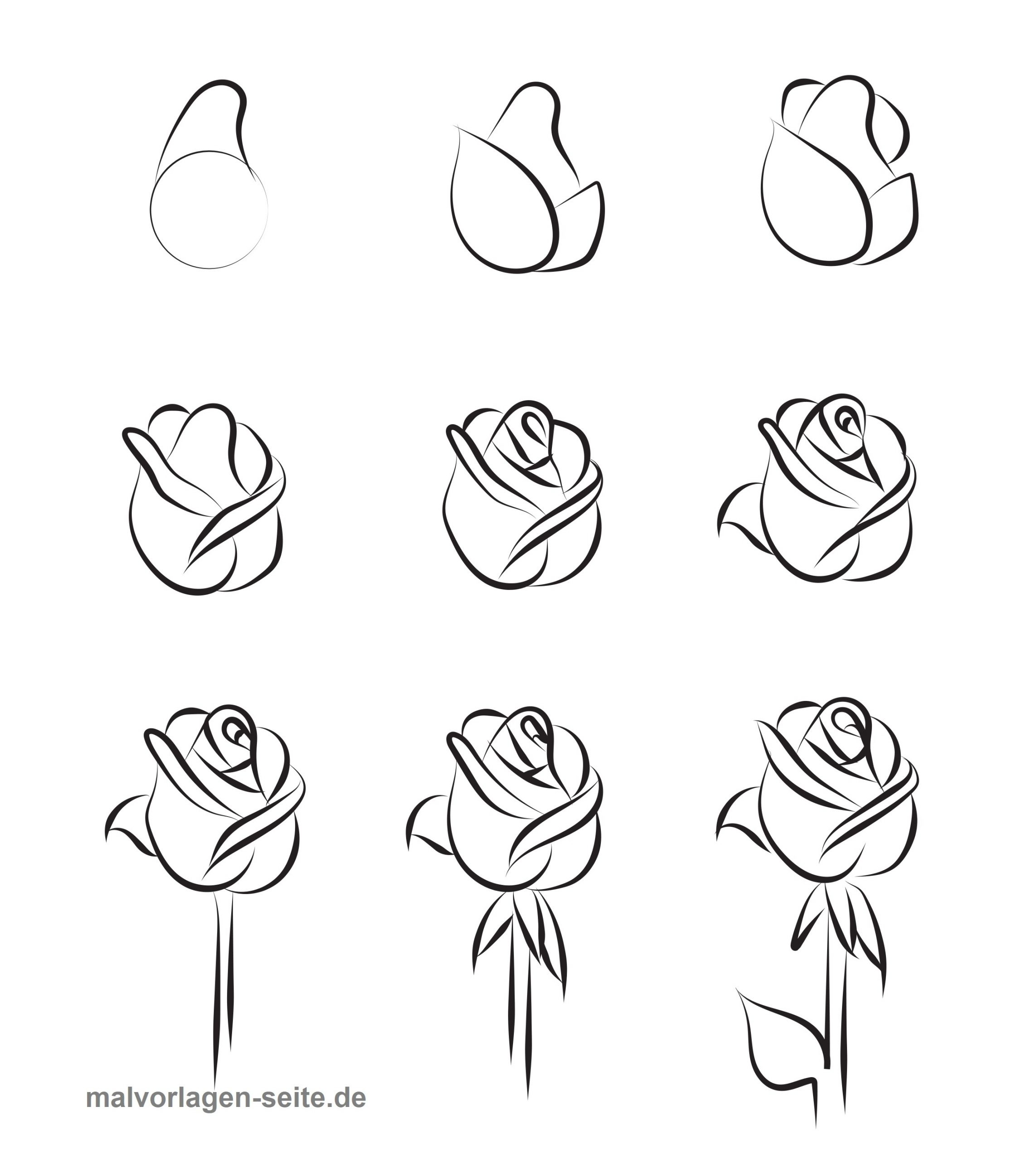Wie Malt Man Eine Rose? - Ausmalbilder Kostenlos Herunterladen bei Rosen Zeichnen Anleitung