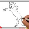 Wie Zeichnet Man Ein Pferd 2 Schritt Für Schritt Für Anfänger - Pferd  Zeichnen Lernen mit Wie Malt Man Ein Pferd