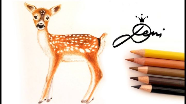 Reh Zeichnen - kinderbilder.download | kinderbilder.download