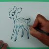Wie Zeichnet Man Ein Rehkitz (Bambi)? Zeichnen Für Kinder innen Reh Zeichnen