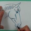 Wie Zeichnet Man Einen Pferdekopf Von Der Seite? Zeichnen Für Kinder. verwandt mit Pferdeköpfe Zeichnen