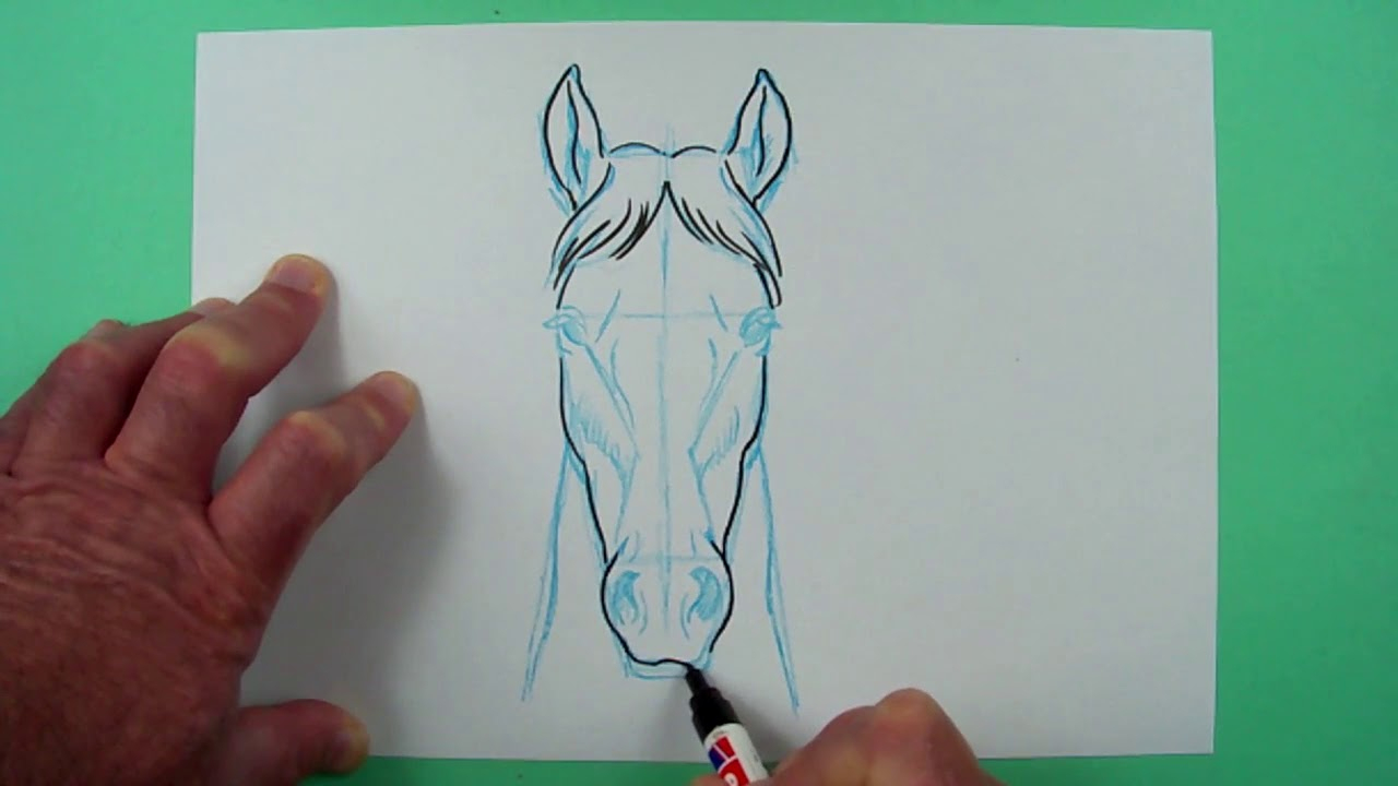 Wie Zeichnet Man Einen Pferdekopf Von Vorn? Zeichnen Für Kinder. verwandt mit Pferdeköpfe Zeichnen
