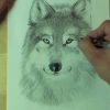 Wie Zeichnet Man Einen Wolf ?! How To Draw bestimmt für Wölfe Zeichnen