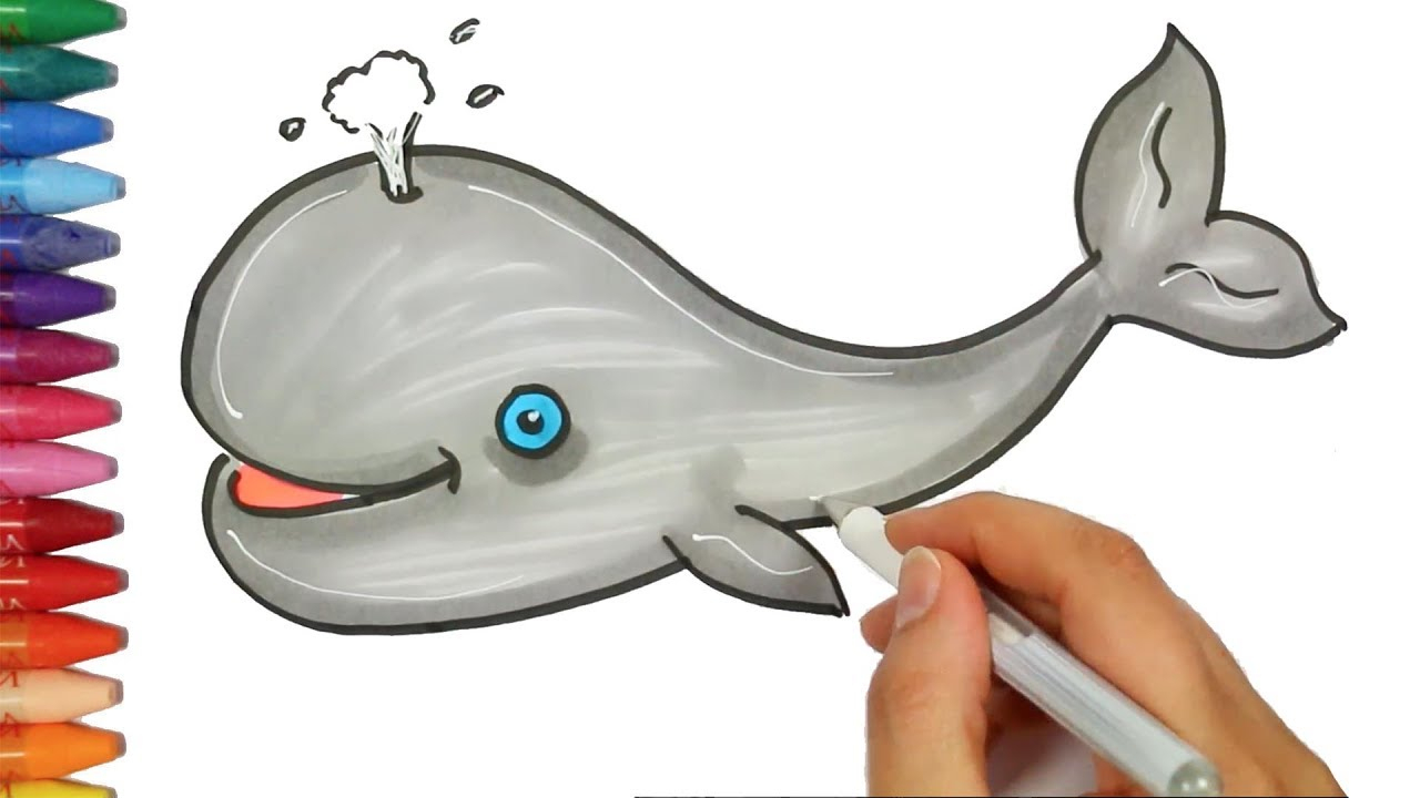 Wie Zeichnet Man Wal - Zeichnen Und Ausmalen Für Kinder innen Wal Zum Ausmalen