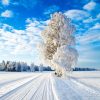 Winter Wonderland By Sven-Erik Lundby | Naturbilder über Winterbilder Zum Ausdrucken