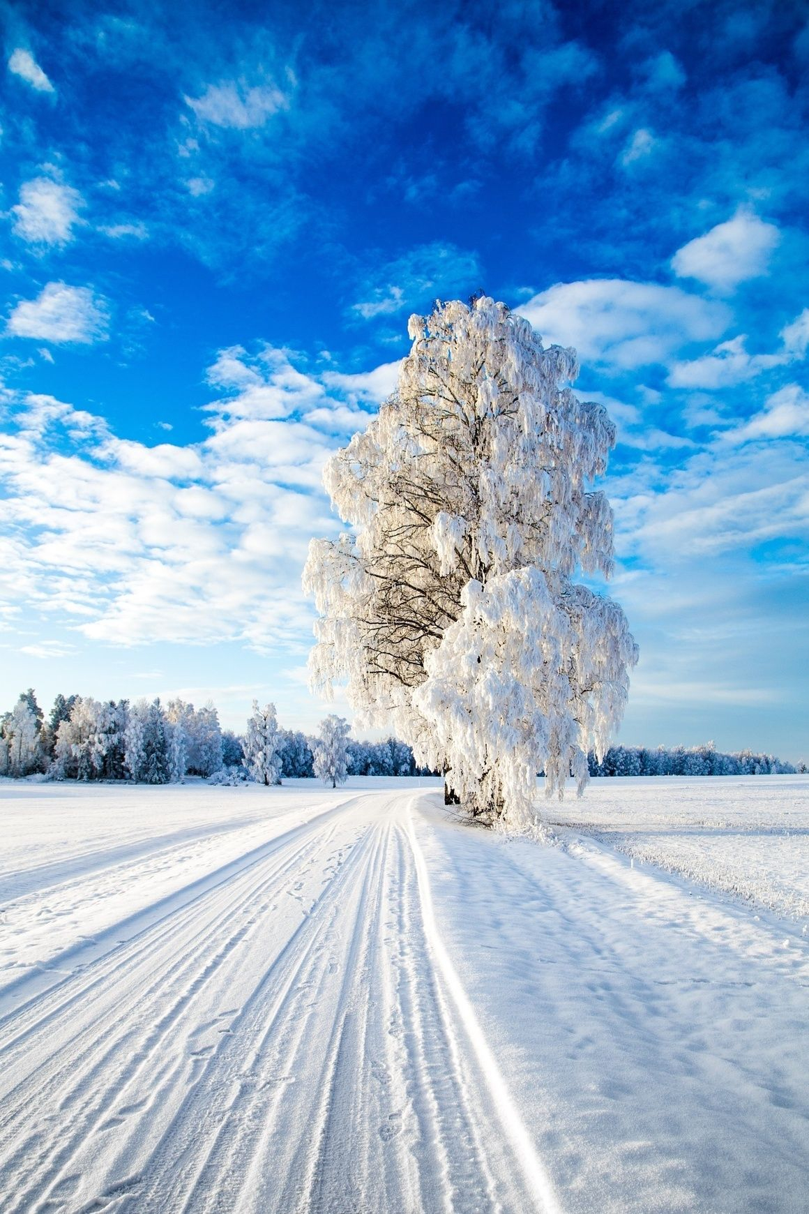 Winter Wonderland By Sven-Erik Lundby | Naturbilder über Winterbilder Zum Ausdrucken