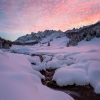 Winterbilder !-Bild Von Mausi Reh In 2020 | Bilder in Winterbilder Zum Ausdrucken