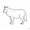 Wir Lernen, Wie Einen Wolf Schritt Für Schritt Zu Zeichnen. bei Wölfe Zeichnen