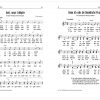 Wir Singen Von Jesus - Liederbuch verwandt mit Wir Singen Vor Freude Das Fest Beginnt Mp3