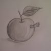 Zeichnen Lernen Für Anfänger. Bio-Apfel ;-) Zeichnen Mit Bleistift. bei Zeichnungen Für Anfänger