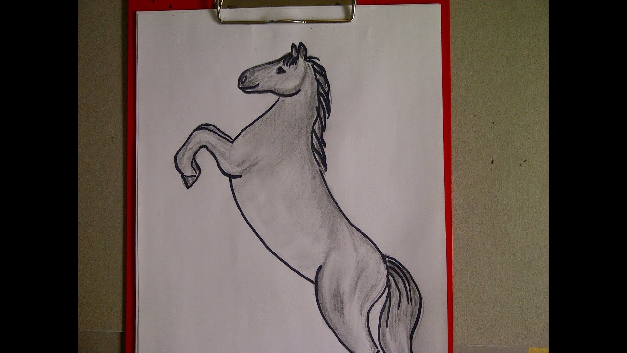 Zeichnen Lernen Für Anfänger. Pferd Malen. Pferdeportrait. Learn To Draw A  Horse über Pferde Zum Abpausen