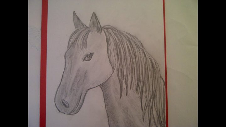 Zeichnen Lernen Für Anfänger. Pferd Malen. Pferdeportrait. Pferdekopf.  Learn To Draw A Horse innen Pferdekopf Malen