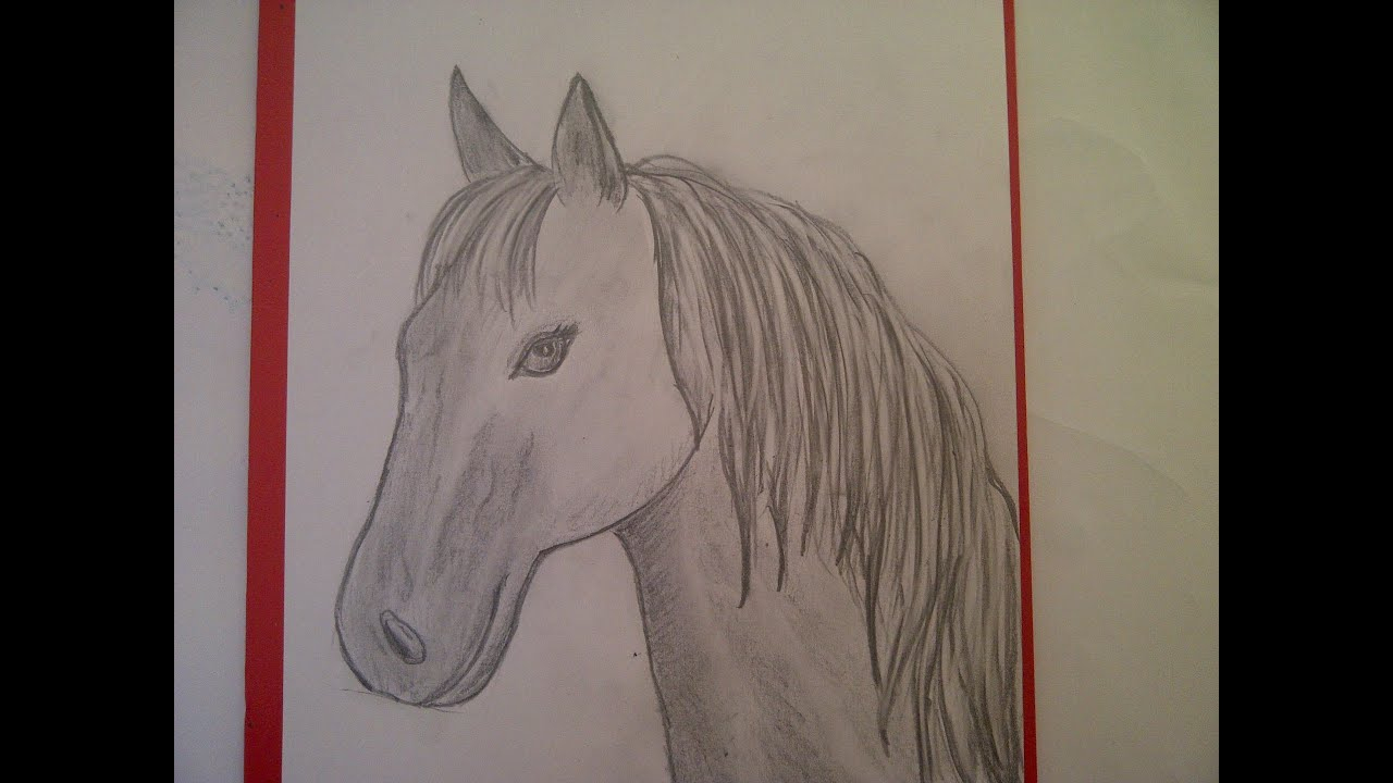 Zeichnen Lernen Für Anfänger. Pferd Malen. Pferdeportrait. Pferdekopf.  Learn To Draw A Horse mit Pferde Malen Lernen