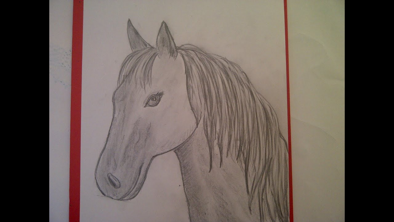 Zeichnen Lernen Für Anfänger. Pferd Malen. Pferdeportrait. Pferdekopf.  Learn To Draw A Horse verwandt mit Pferde Zeichnen Lernen