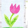 Zeichnen: Schöne Blume, Rosa Tulpe Stockbild - Bild Von ganzes Tulpe Zeichnen